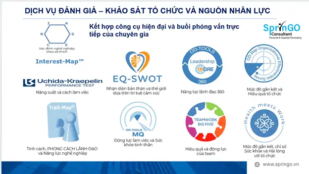DỊCH VỤ PHÂN TÍCH, KHẢO SÁT VÀ ĐÁNH GIÁ HIỆN TRẠNG DOANH NGHIỆP
