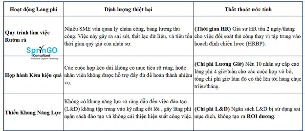 Phân Tích Định Lượng CHI PHÍ ẨN Khi SME Thiếu Quy Trình HR/OD Khoa Học.